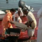 " Red Sea" in Oman