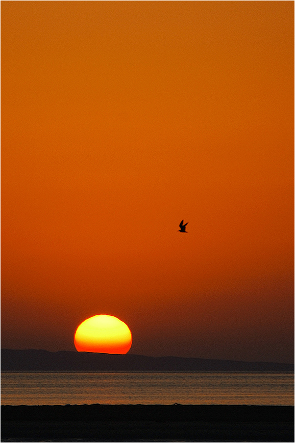 Red Sea sunrise II