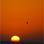Red Sea sunrise II
