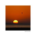 Red Sea sunrise II (reload)
