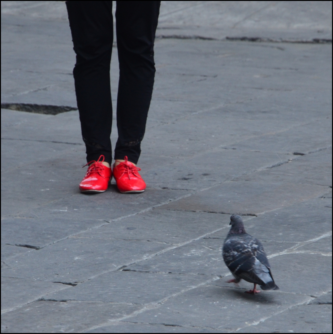 Red shoes and a pigeon