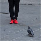 Red shoes and a pigeon