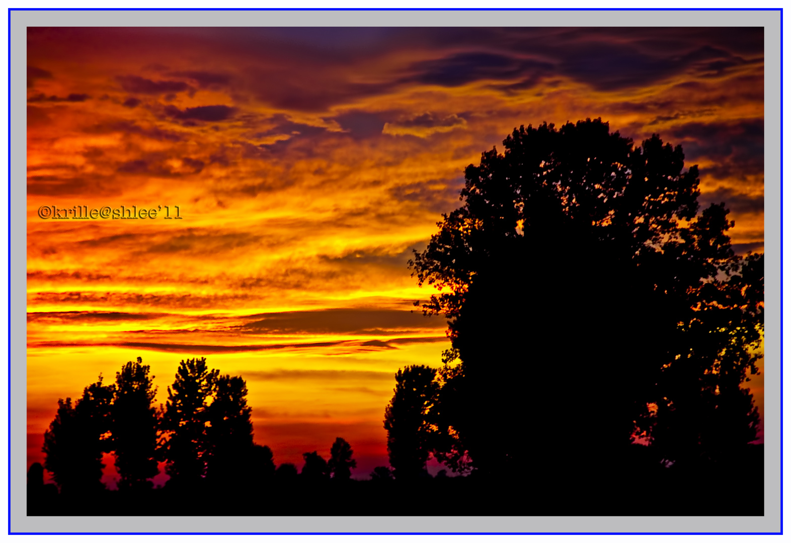 red sky with the punk tree