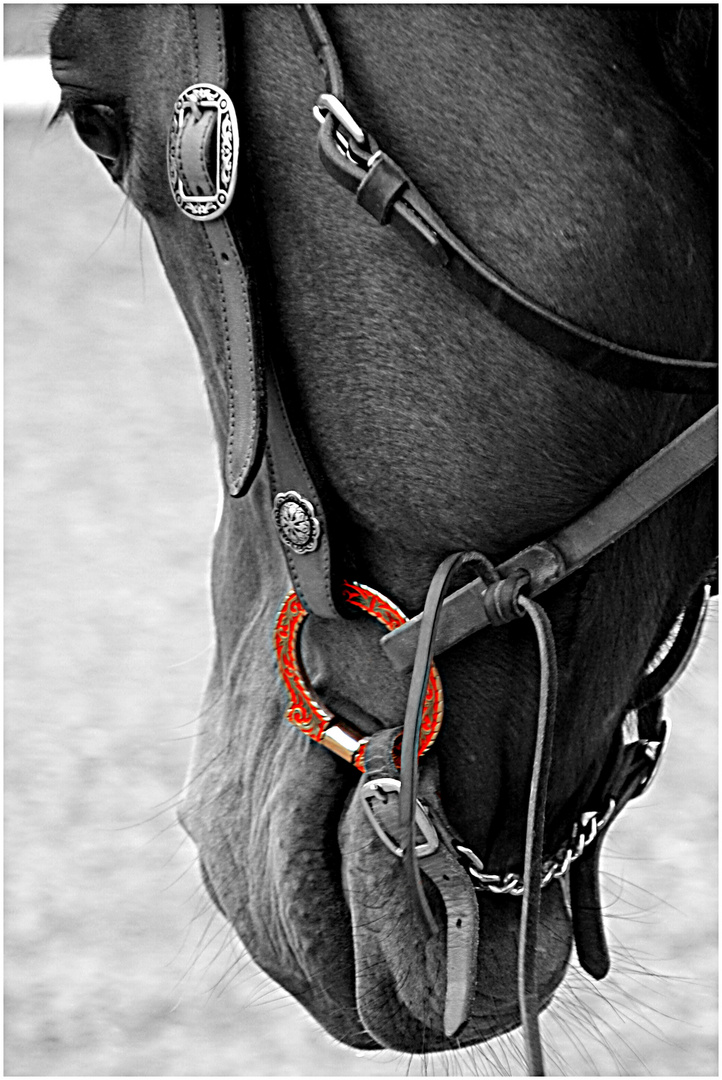 Red Snaffle [WESTERN ART]