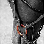 Red Snaffle [WESTERN ART]