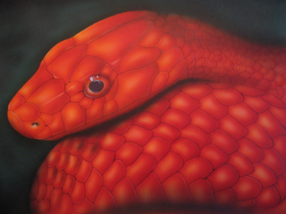 Red Snake