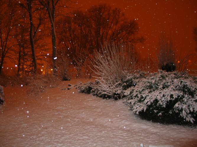 Red Snow Night