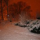 Red Snow Night