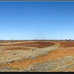 Red soil, 1