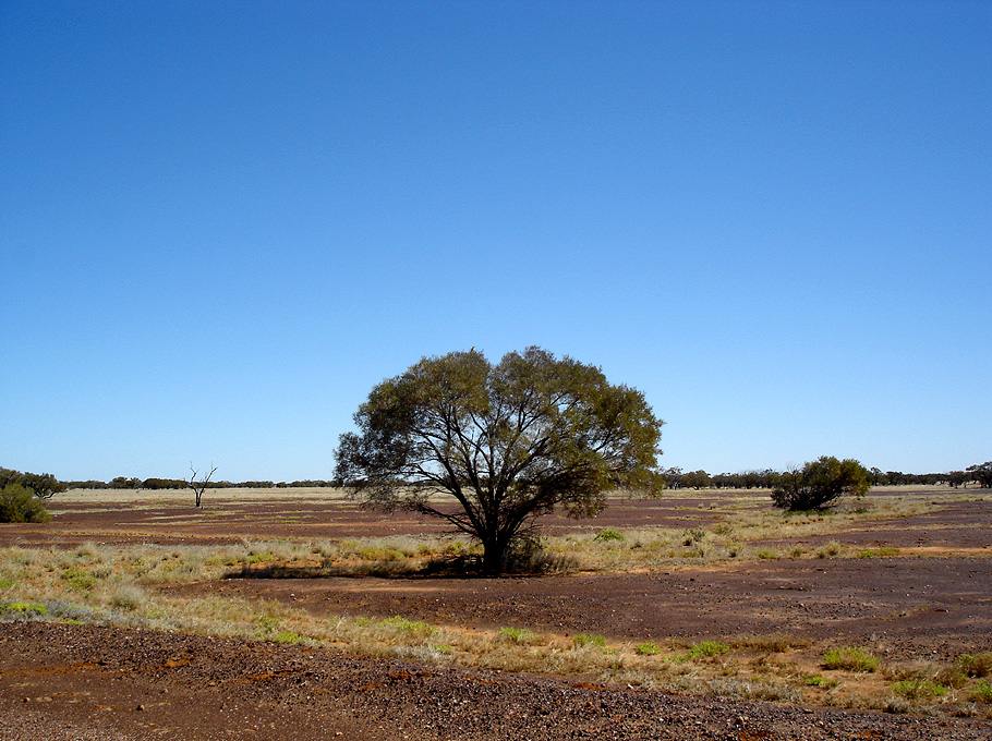 Red soil, 3