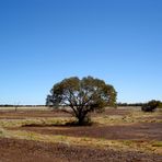 Red soil, 3