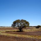 Red soil, 3