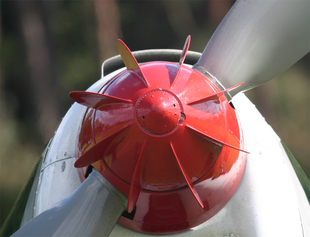 red Spinner