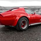 Red Stingray