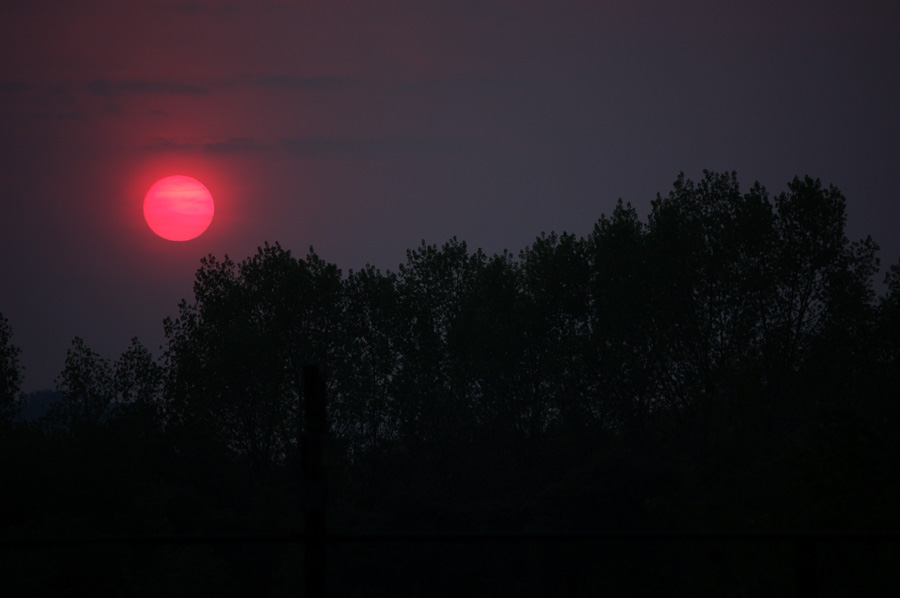 Red Sun