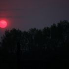 Red Sun