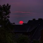 Red Sun