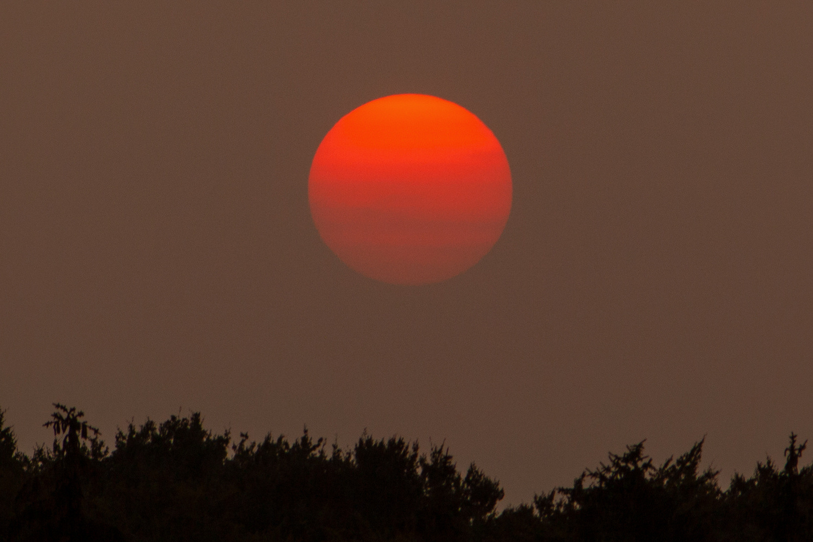 Red Sun