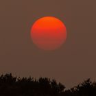 Red Sun