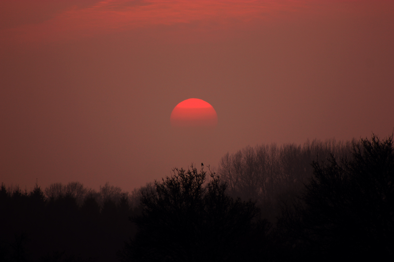 Red Sun