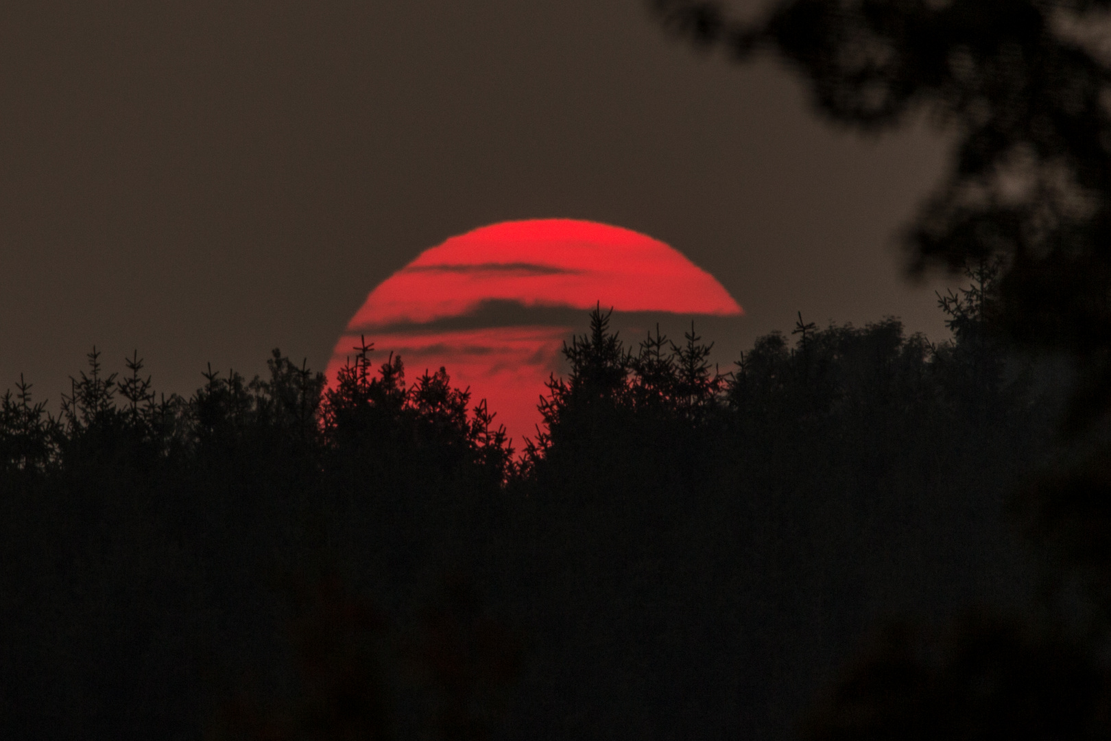 Red Sun