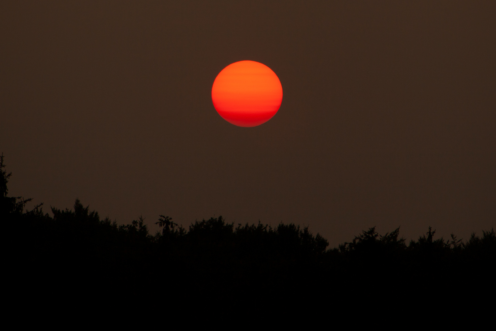 Red Sun