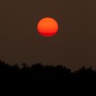 Red Sun