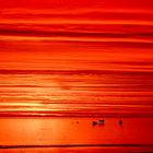 RED SUNRISE