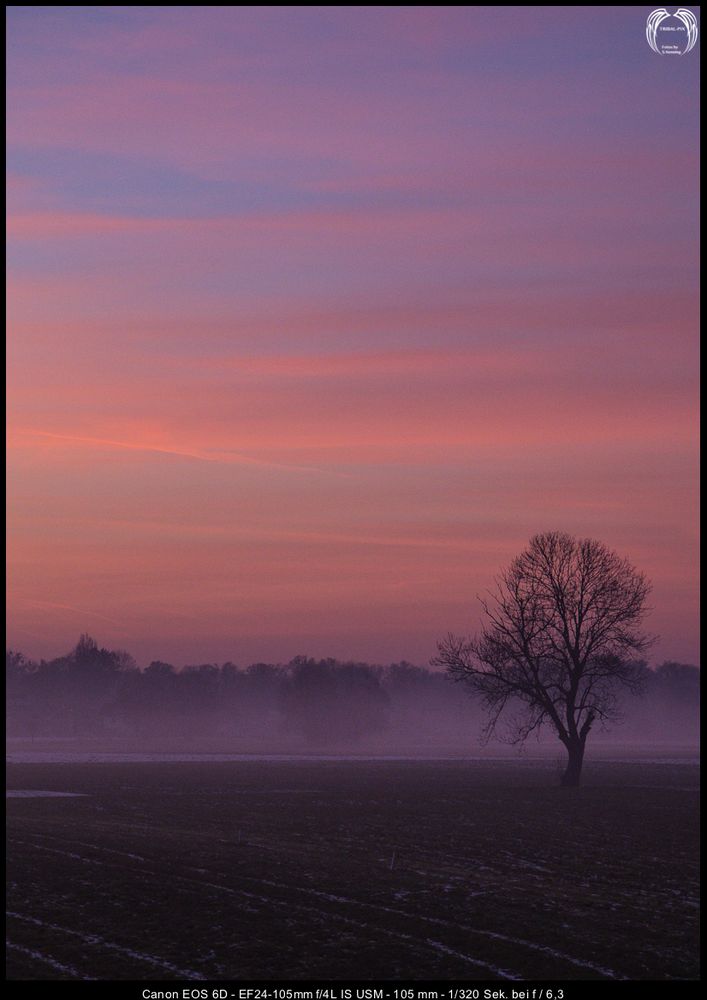 Red Sunset...