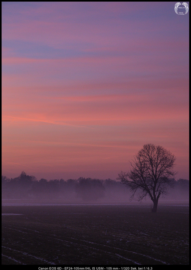 Red Sunset...