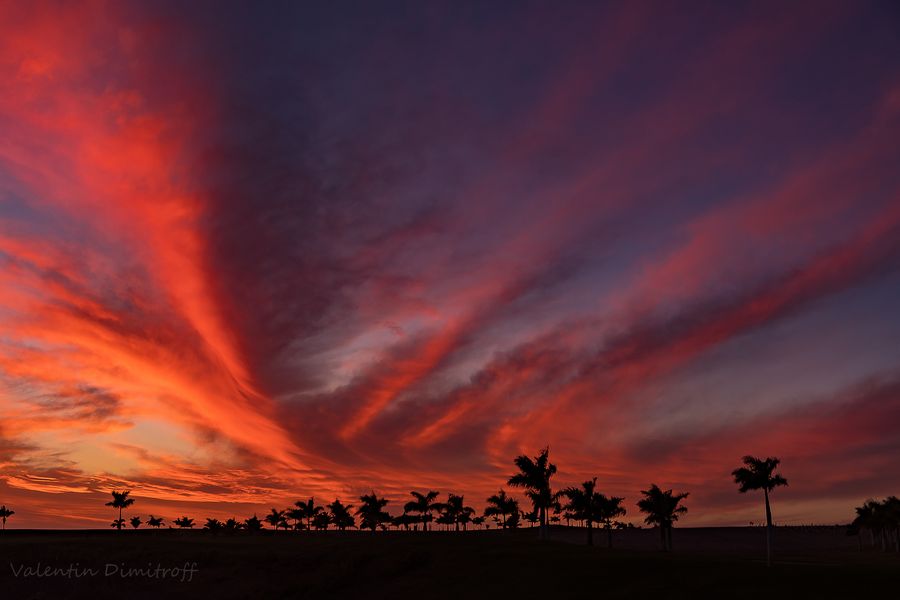 Red sunset