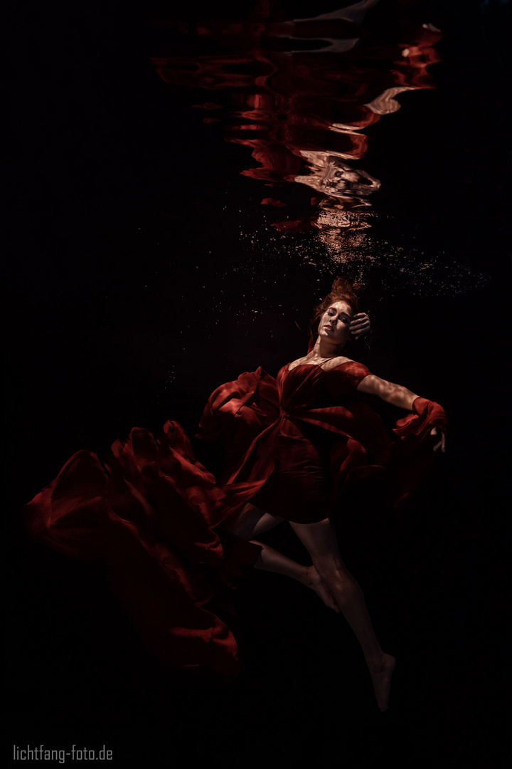 red swan