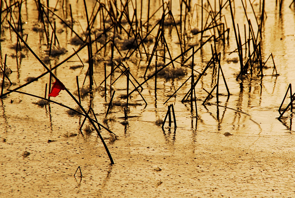 Red Touch - Roter Faden