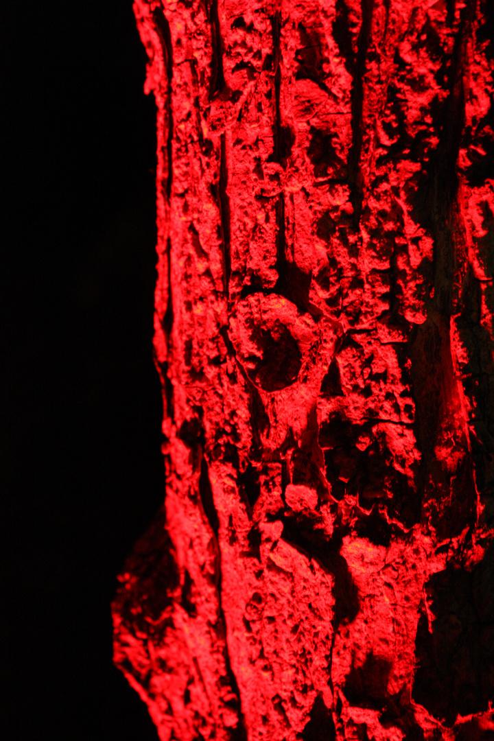 Red Tree