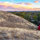 Red Tree One 