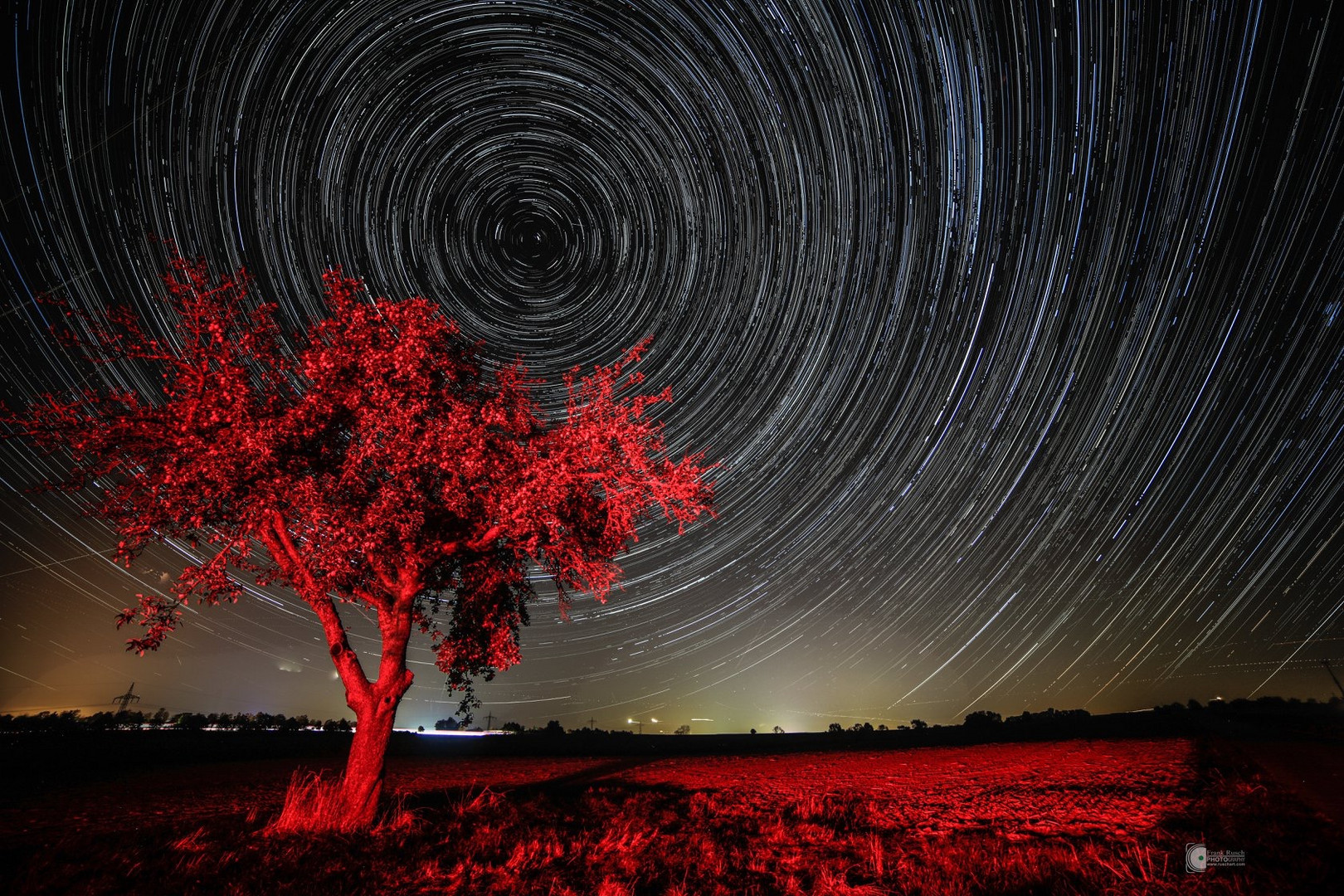 Red Tree Star travic