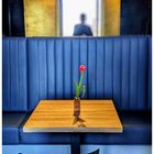 red tulip / blue sofa