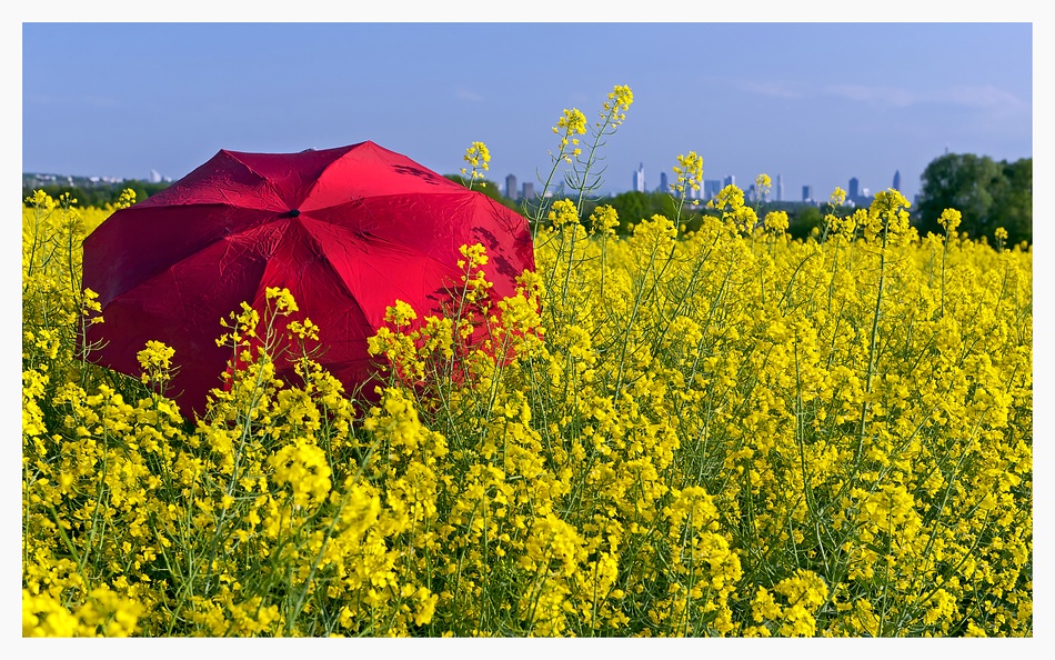 Red Umbrella