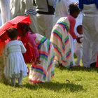 Red Umbrella (Zille 2017)