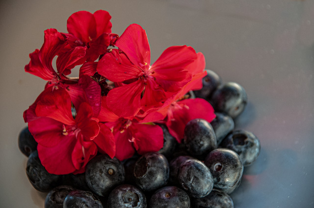 " red Velvet and blueberries "