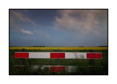 Red-white fence in a Rapeseed field