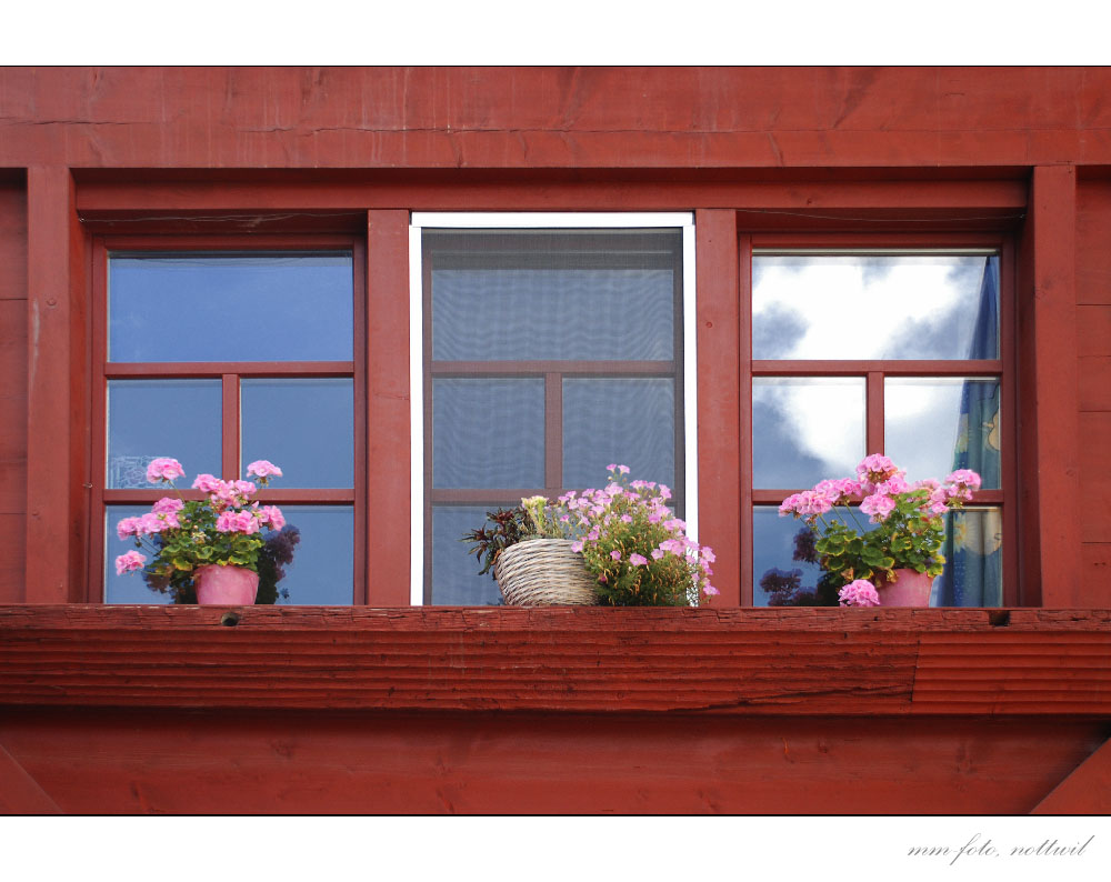 Red Window