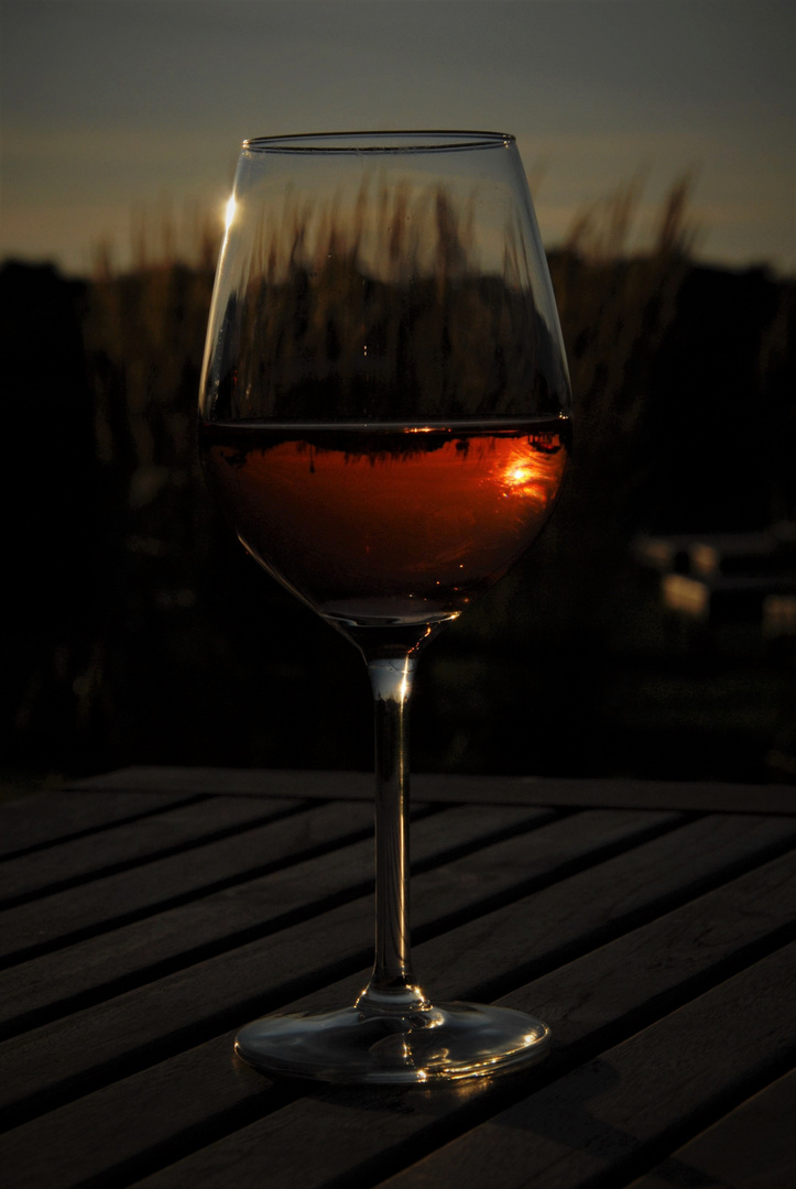 Red wine  -  DSC_1820