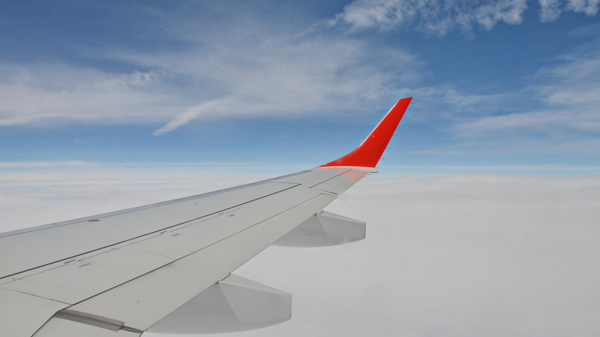 Red Winglet