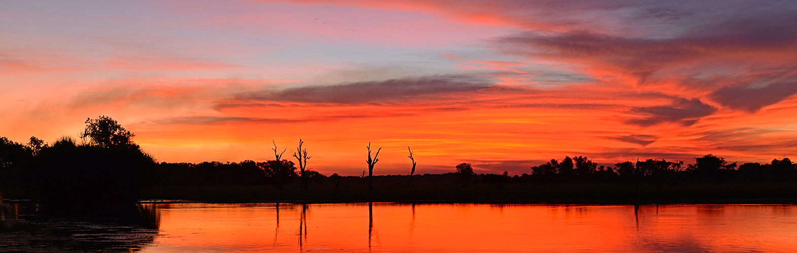 red.australia