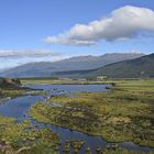 Redcliff Wetland