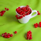 Redcurrant