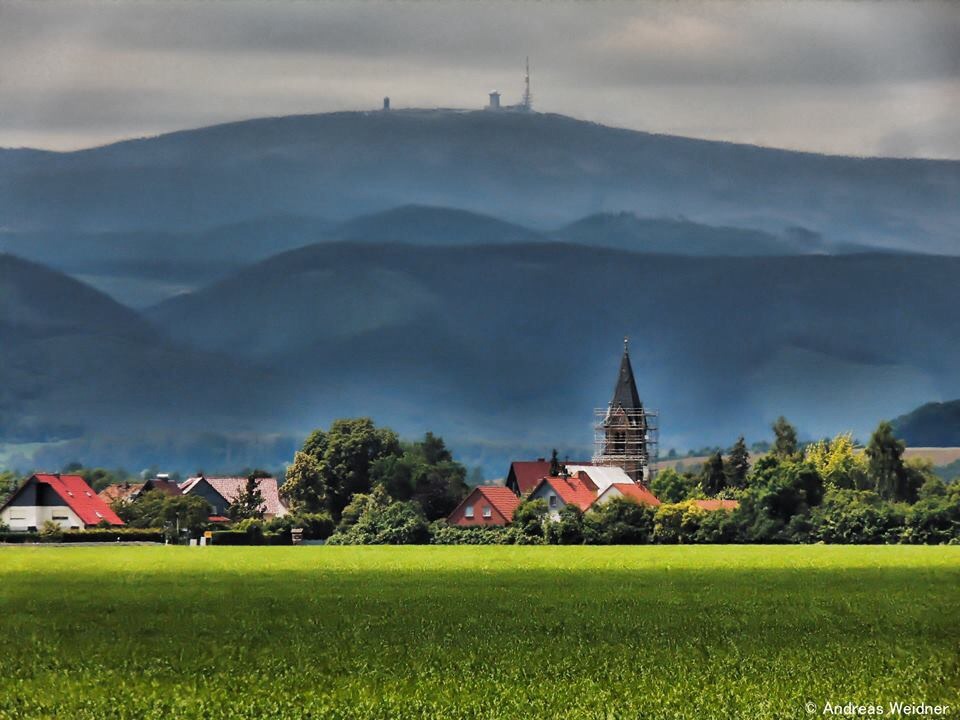 Reddeber mit Blick zum Brocken