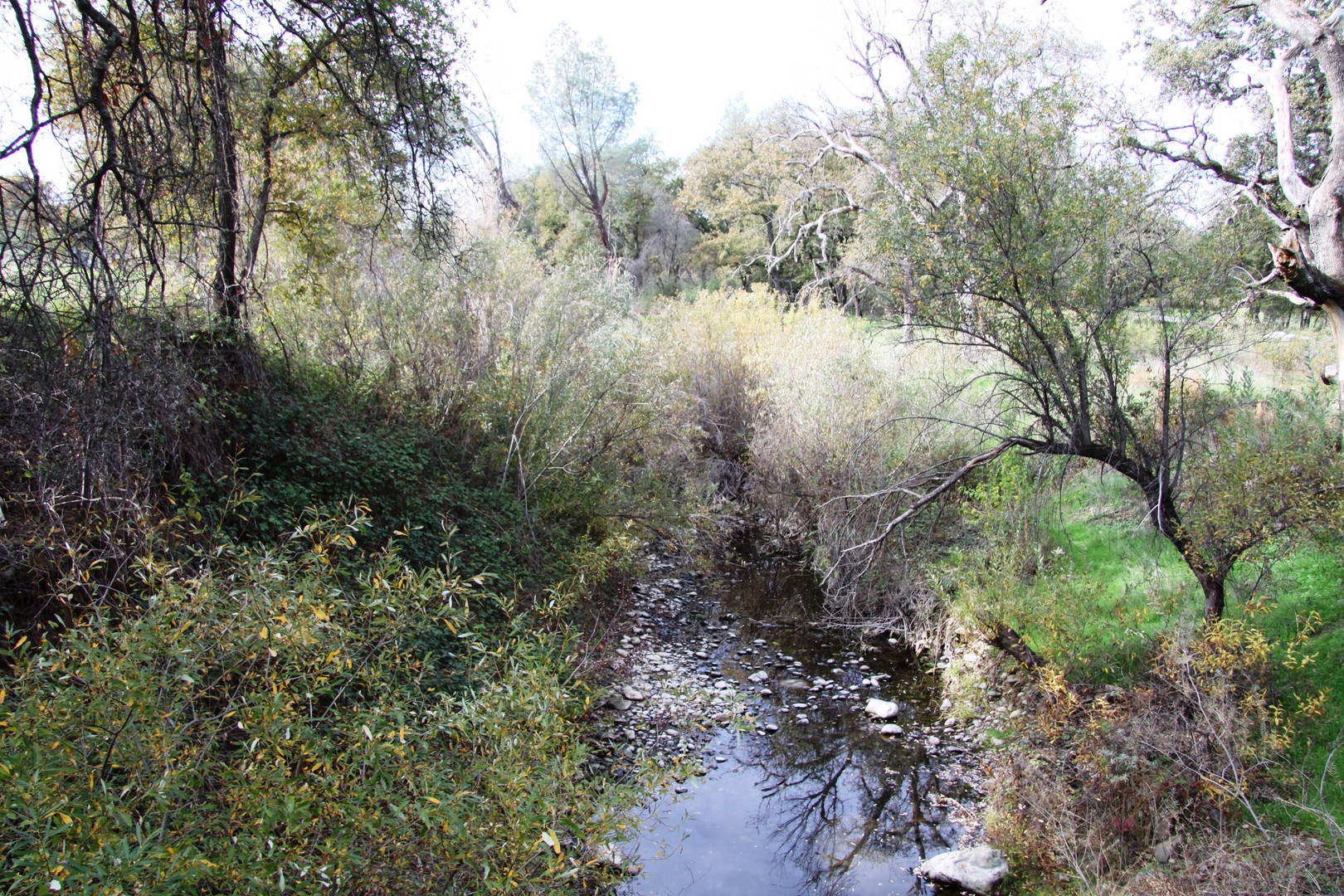 Redding - Turtle bay park