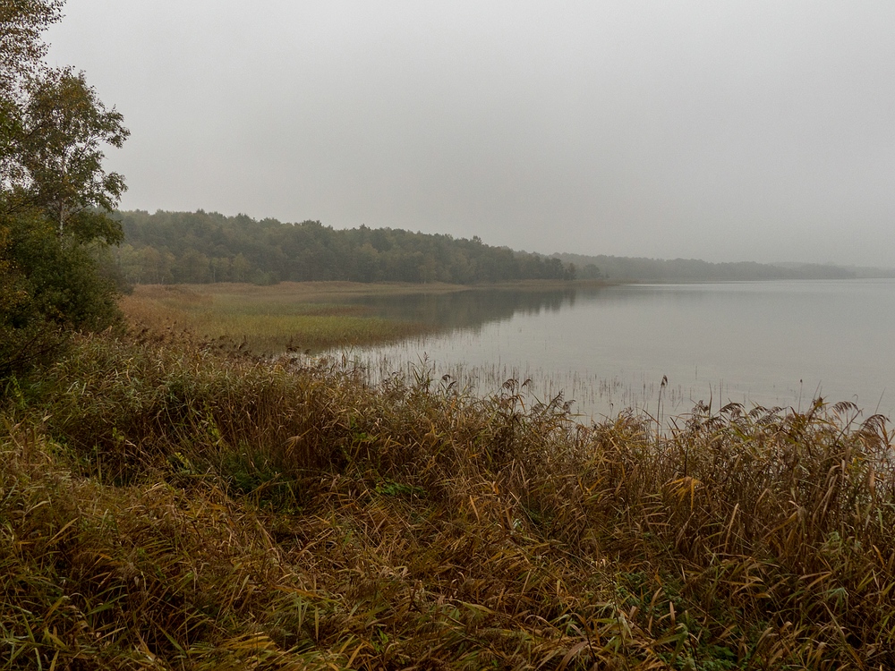 Rederangsee